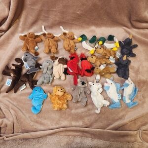 pec dolphin shark Longhorn seahorse 22 puppets bundle lot